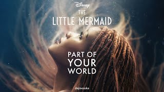 The Little Mermaid - Part Of Your World (dejinosuke 2023K Remix)