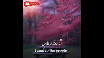 قرأن بصوت القارئ: عبدالله الغامدي || تلاوات خاشعة || حالات واتس اب قرأن || Quran Status 💙