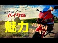 【バイクの魅力】ビーナスラインツーリング  | Venus Line Touring in JAPAN. YZF-R25(2019) Motovlog