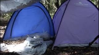 Rekaman Menghantui dari hutan Bunuh Diri Jepang