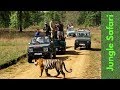 Jungle Safari | Gorumara Park |  Lataguri forest | Dooars | Mitzinfinity