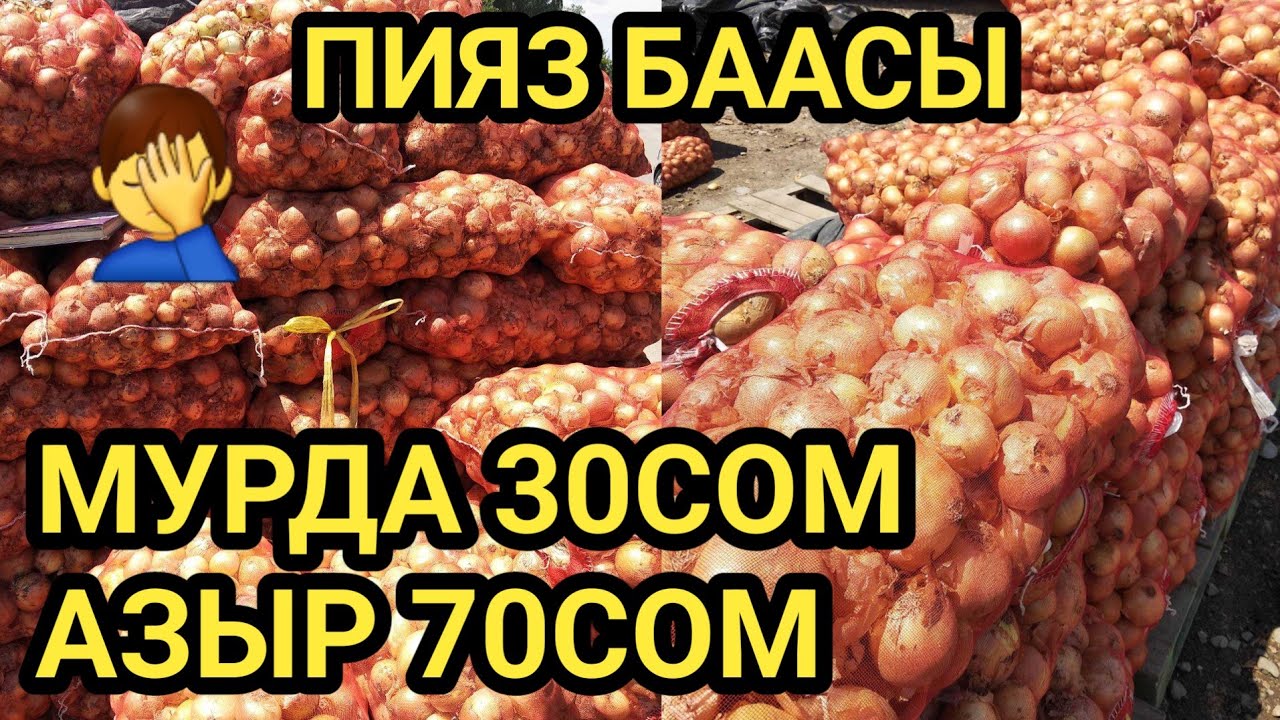 Джессика Альба порно онлайн видео Ұшақтағы дәретханада жыныстық қатынас