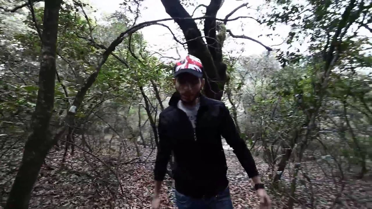 AL AMINEAminux TFAT CHEM3A