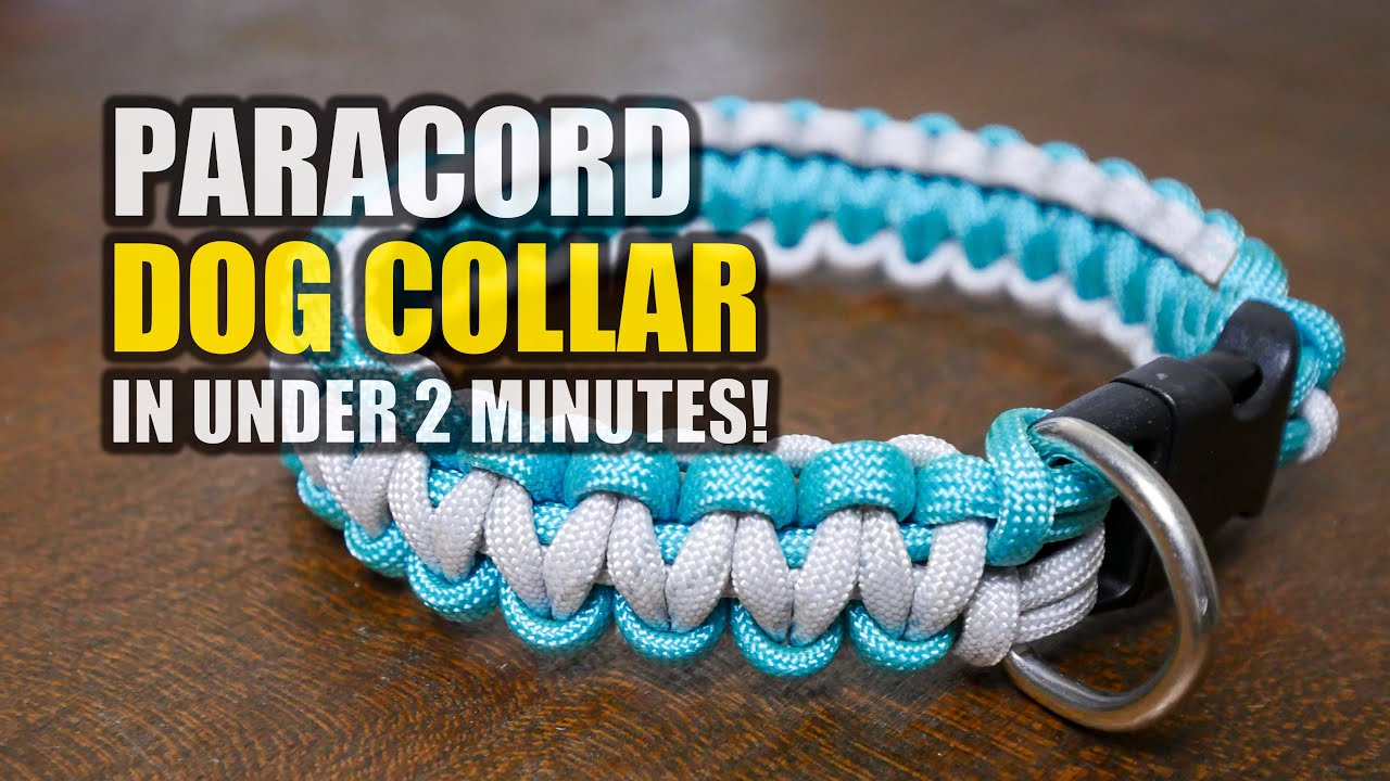 Make a Paracord DOG COLLAR in UNDER 2 MINUTES! 