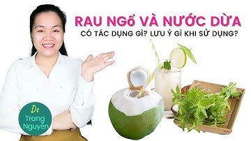 Rau ngổ với dừa có tác dụng gì? Cần lưu ý những gì khi sử dụng