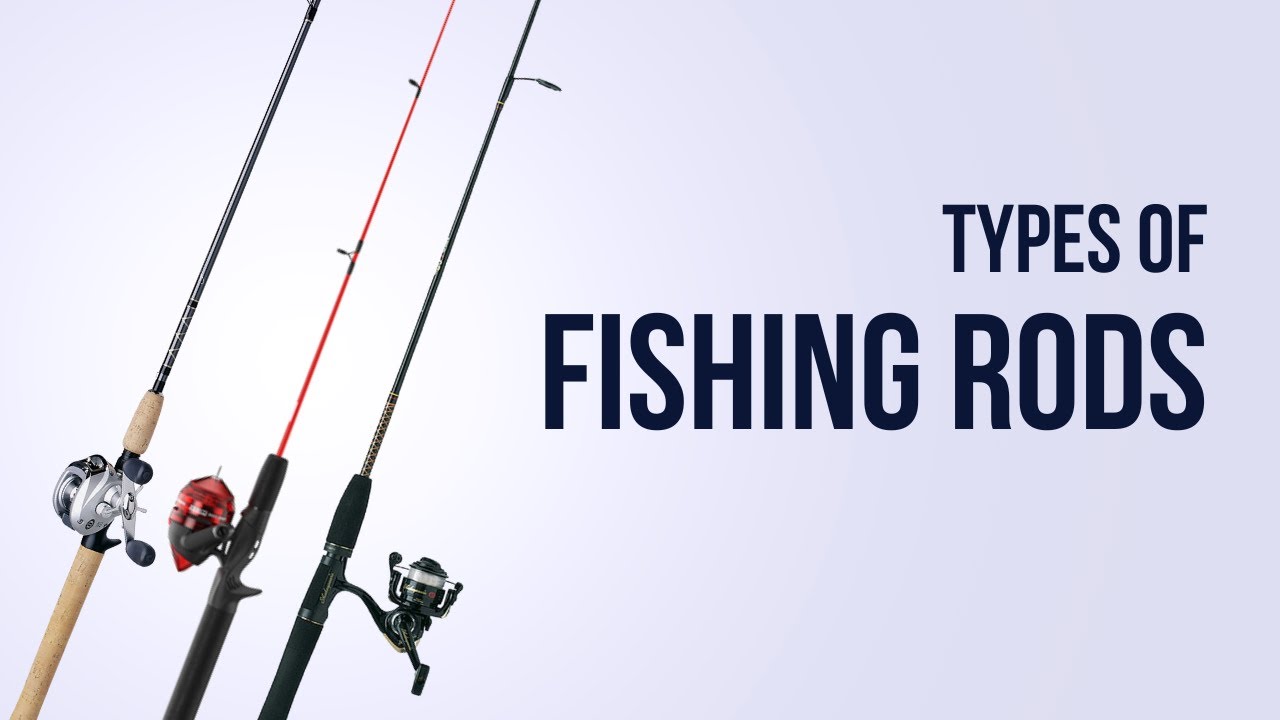 The DIFFERENT Types Of Fishing Rods 