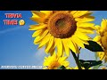 Morning Coffee Break! ☕️ Garden News! 🍅 Trivia Time! 🤔 Jokes Of The Day! 🤣 Let's Have Some Fun! 😹🤪