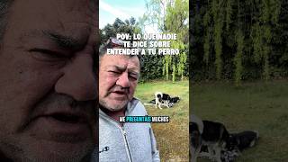 POV: Lo que nadie te dice sobre entender a tu perro 🐾