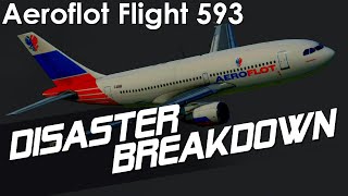 How A Child Crashed A Passenger Plane (A Deeper Dive into Aeroflot Flight 593)  Disaster Breakdown