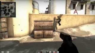 CSGO Deaglmao Panic shot