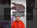 世界の恐ろしい事実10選