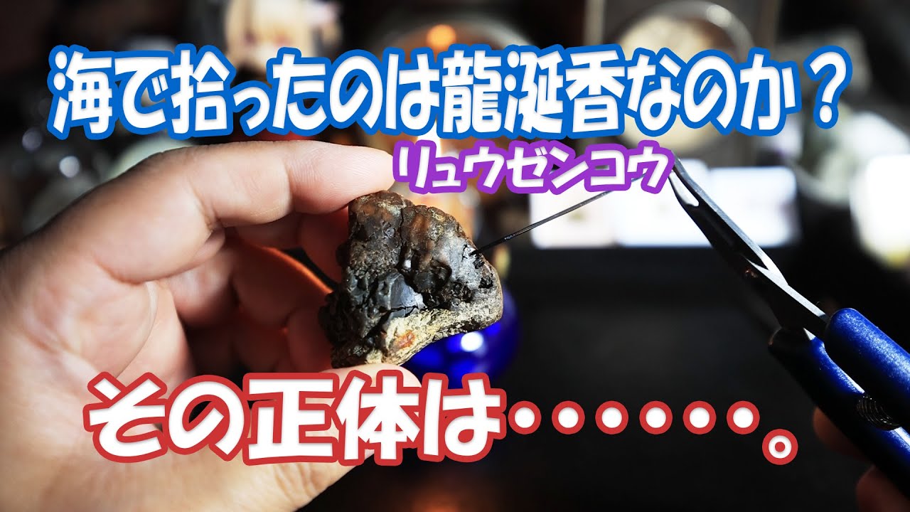 Is it ambergris that you found in the sea? What is its true