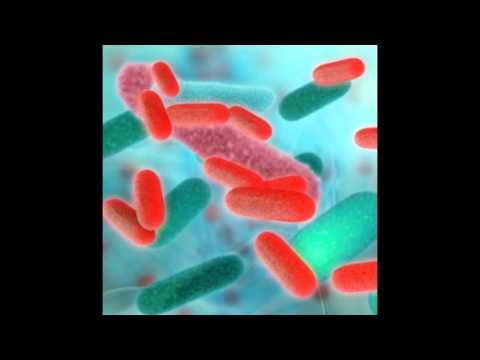 Video: La Specificità Ecologica Del Metagenoma In Un Insieme Di Specie Di Termite Inferiore Supporta Il Contributo Del Microbioma All'adattamento Dell'ospite