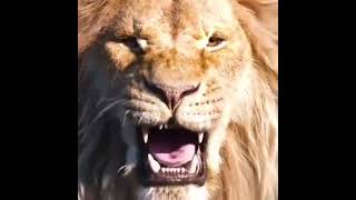 .01 Şirin Nərildəməsi. Gözəl Görüntüdür.