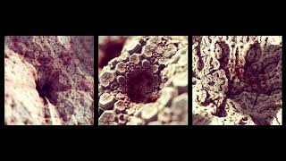 Kaleidoscopic IFS fractal