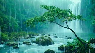 Overcome Anxiety with Heavy Rain & Thunder Sounds | ASMR Rain in the Forest for Deep Sleep