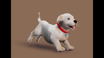 Cartoon Dog Rig (Maya & unreal 5) by Hopen Studios