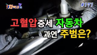 차박사TV_171회, 고혈압증세 자동차, 과연 주범은?