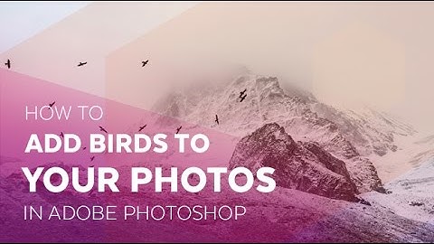 How to Add Birds to Your Photos in Adobe Photoshop