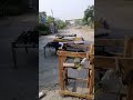 level پنکھا💯👆👌series7# #memes #funny #foryou #viralvideo