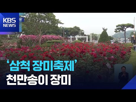 천만송이 장미의 향연 ‘삼척 장미축제’ [강원관광지도] / KBS  2026.05.21.