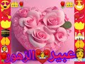 زينب محمد اسمع وابشر زينب محمد اسمع وابشر