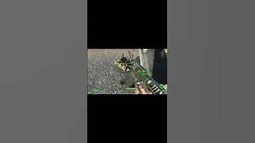 STINKBUG ABOUT ROBBED ME FOR MY FOAMS | A STORYWEALTH | Fallout 4 Fully Modded (Stream Highlights)