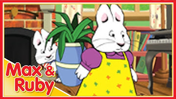 Max & Ruby: Hide and Seek / Max