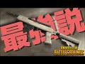二桁キル越えガチやば最強SKSドン勝 - PUBG【りゅうにゃん】