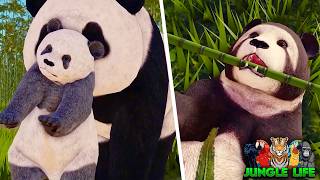 New Giant Panda Animal Update Roblox Jungle Life