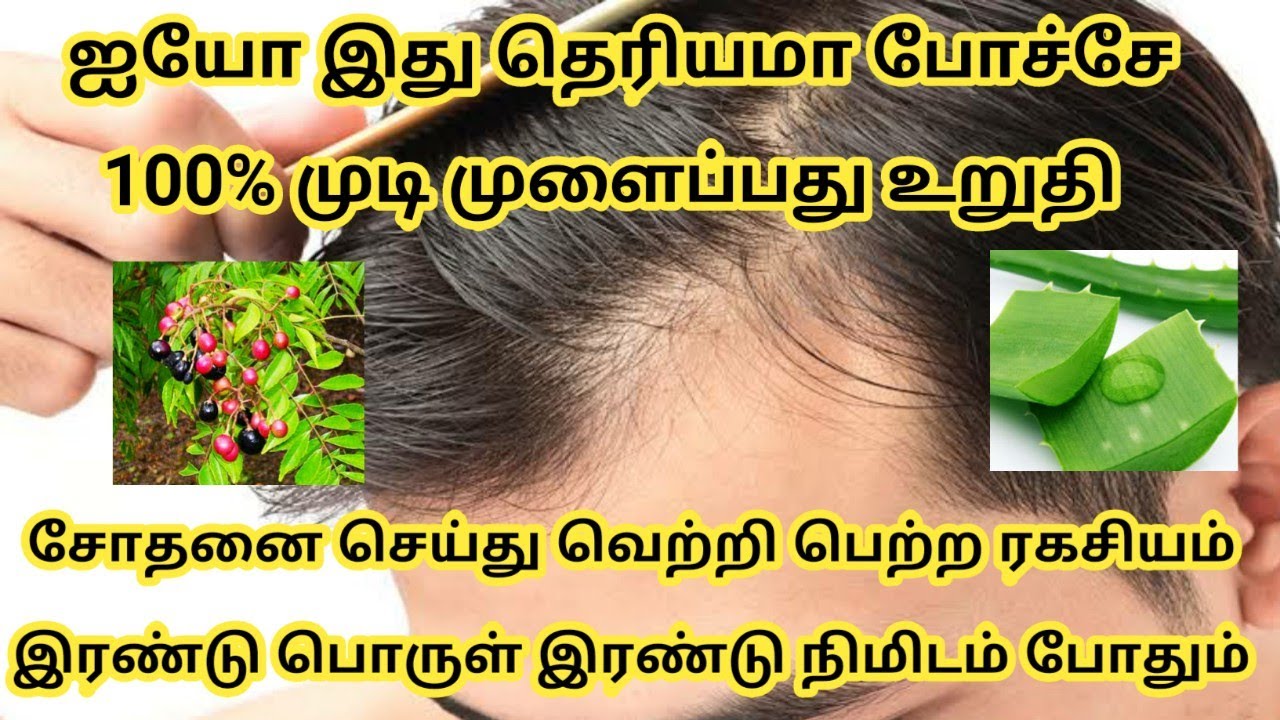 Hair Care Tips In Tamil Beauty & Health