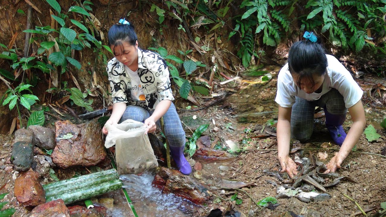Survival in the forest, create traps to catch stream fish - Living off ...