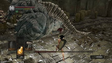 Asylum Demon (NG+6, SL1, no rolling/blocking/parrying)