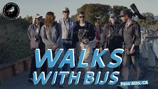 Walks With Bijs Palo Alto Baylands Nature Preserve