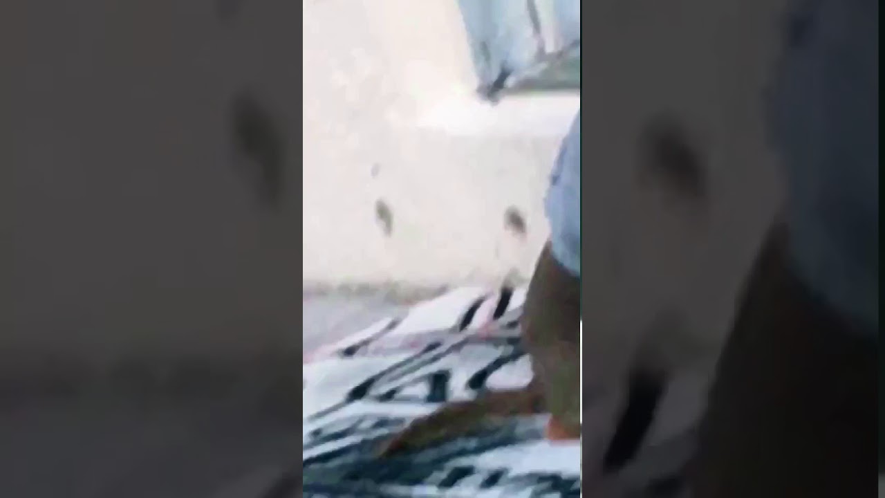 I’m Shook😳👌 - YouTube