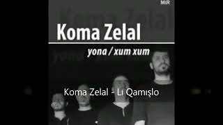 Koma zeval ..lı Qamışlo .2018 albüm Resimi