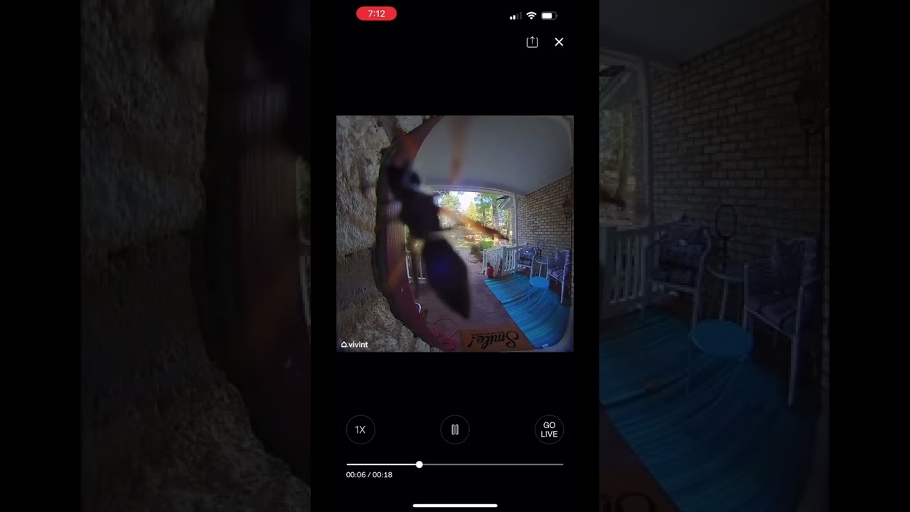 Camera recording another visitor today 😂 