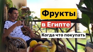 Фрукты в Египте. О сезонности фруктов, советы когда и что покупать.