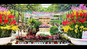 Festival Hoa Lan năm 2023 tại Công viên Tao Đàn, Quận 1,  từ ngày 28/4 đến 02/5/2023 #hoaidancing