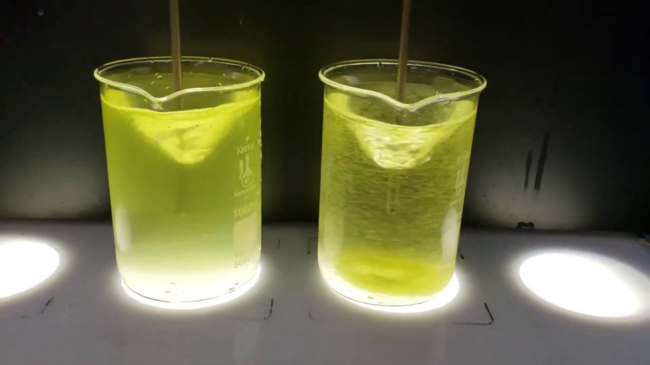Algae Daphnia Ballasted Jar Test YouTube