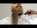 Top 10 Best Beard Transformational Trims