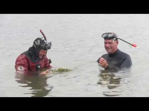 Aktuellt i naturen