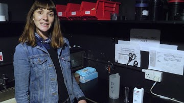 Analogue Darkroom part 1