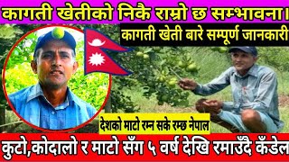 Lemon Farming in Nepal कागती खेती गर्ने तरिका Kagati Kheti को सम्पूर्ण जानकारी