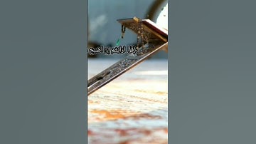 ما هو اسم القارئ !!