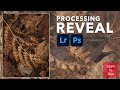 Processing Reveal | Adobe Photoshop &amp; Lightroom