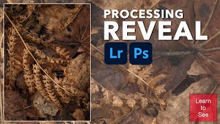 Processing Reveal | Adobe Photoshop &amp; Lightroom