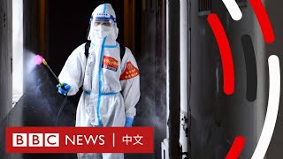 新冠疫情：中國為何仍堅持「清零」封城？－ BBC News 中文