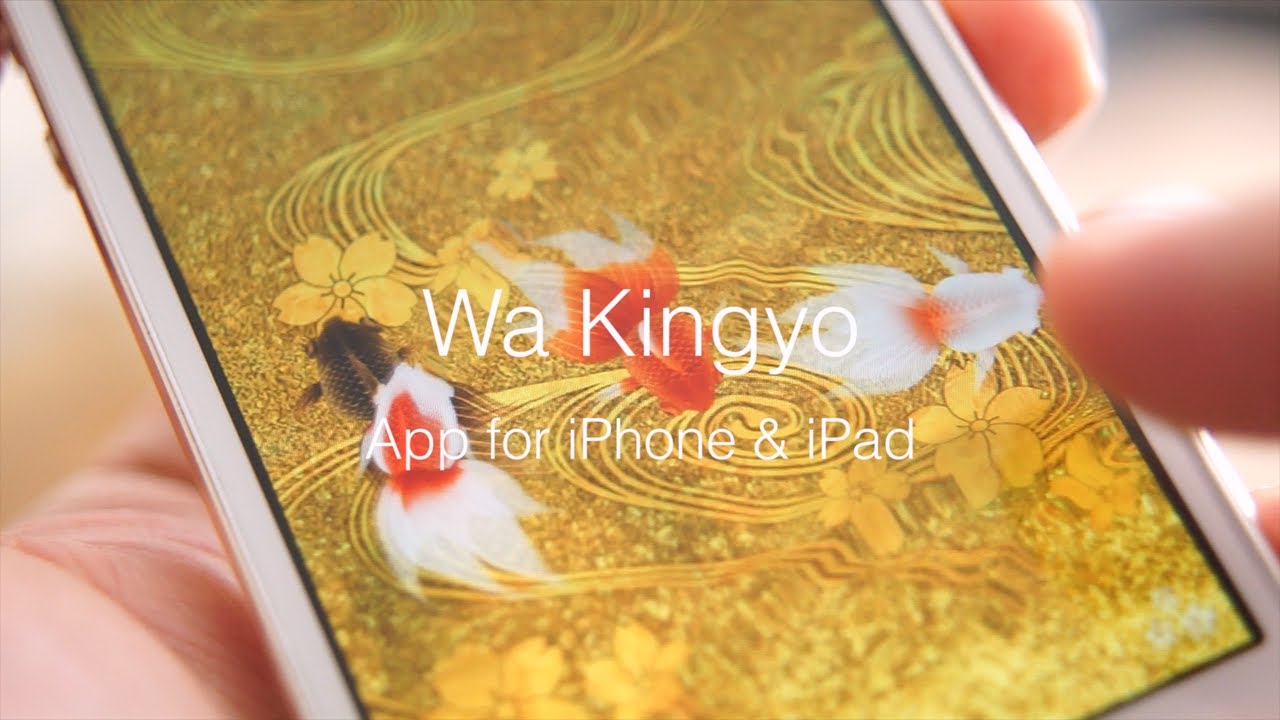Wa Kingyo App For Iphone Ipad 和金魚 公式pv Youtube