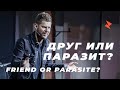 Евгений Пересветов «Друг или паразит» | Evgeny Peresvetov